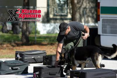 u15/thpproductions/medium/38844119.K9EODTraining024copy.jpg