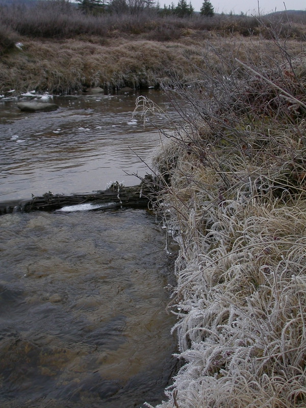 smallDSCN9755.JPG