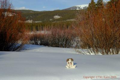 20363 - Boyd , near Devils Thumb Ranch