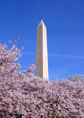 28758 - Washington Monument