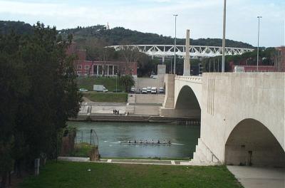 Crew Team Practicing on the Tiber