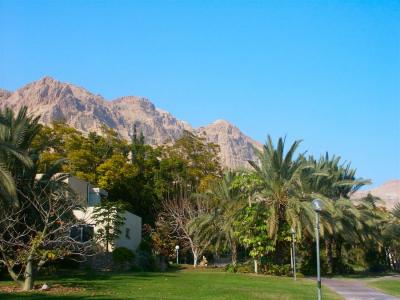 Dead sea - Kibbutz Ein Gedi 9.jpg