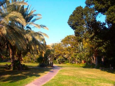 Dead sea - Kibbutz Ein Gedi 10.jpg