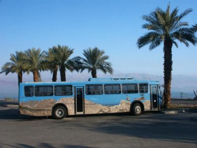 Dead sea - Kibbutz Ein Gedi 16.jpg