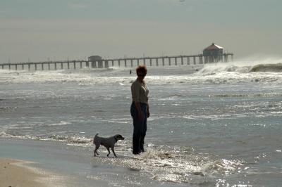 Huntington Beach, Dog on beach