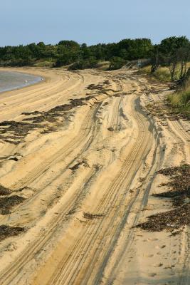 One of the off-road paths along the beach on Chappaquiddick.