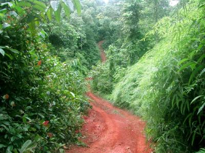 La Ruta a Boca Curenita