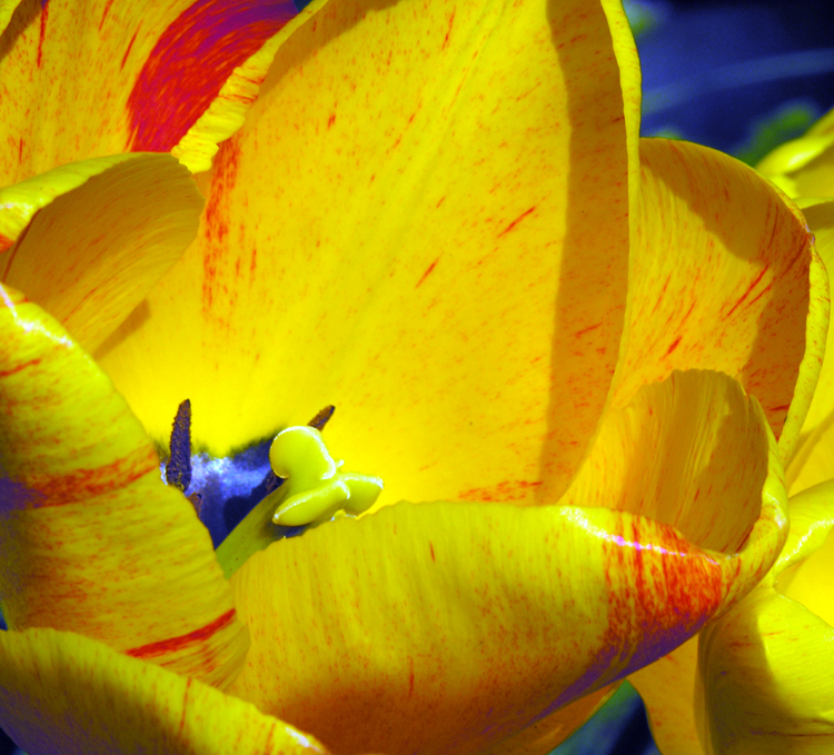  - 12th April 2005 - Yellow