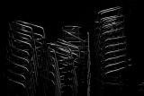 january 19: chairs