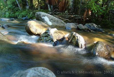 Daintree Rainforest  River