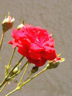 Photo Art