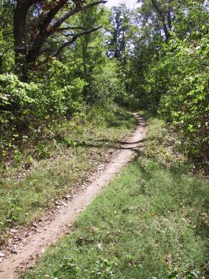 sacrv course 01.jpg
