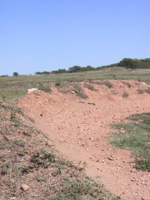 sacrv course 04.jpg