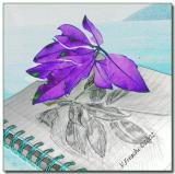 Leaf Sketch