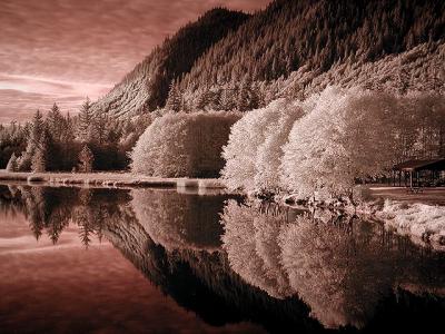 IR Reflections