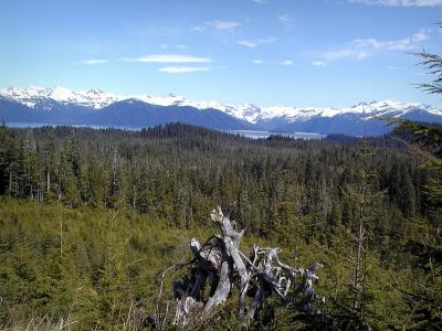 Mountain view 2