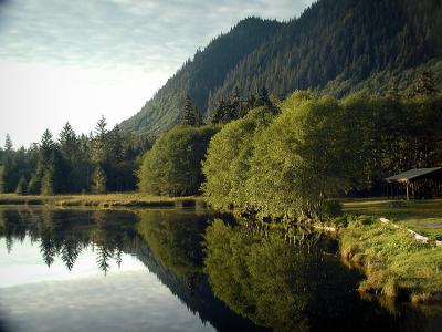river reflection