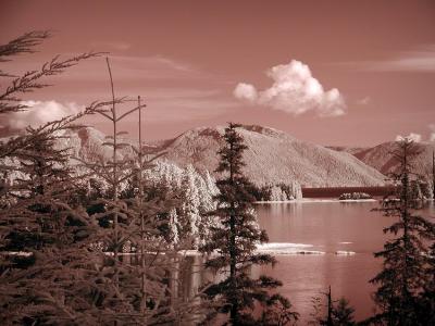 Woodpecker Cove IR