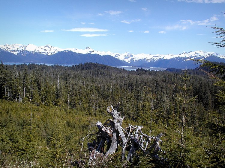 Mountain view 2