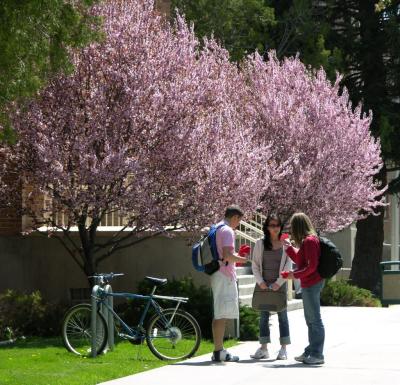 Spring at Idaho State University DSCN6164.JPG