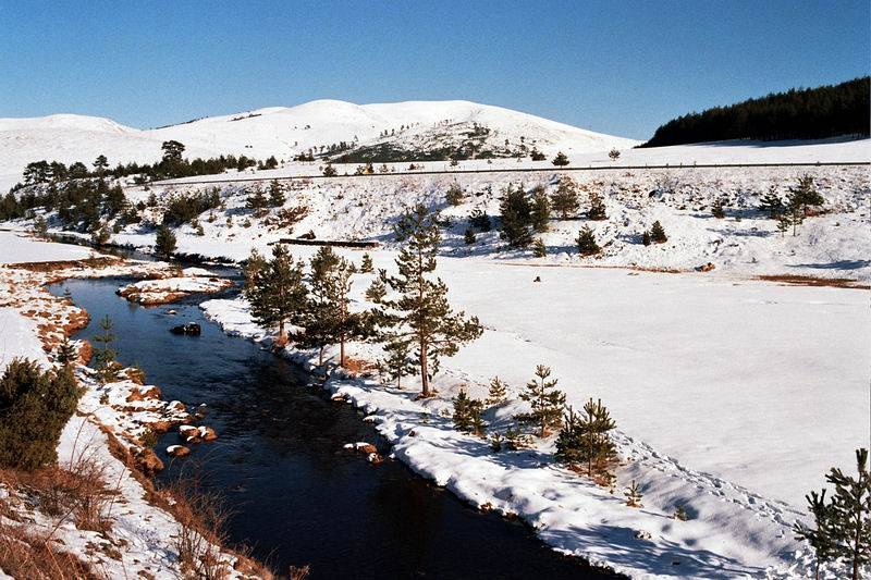 January 2005
