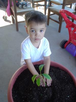 Done planting his tree