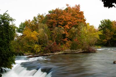 Niagara Color