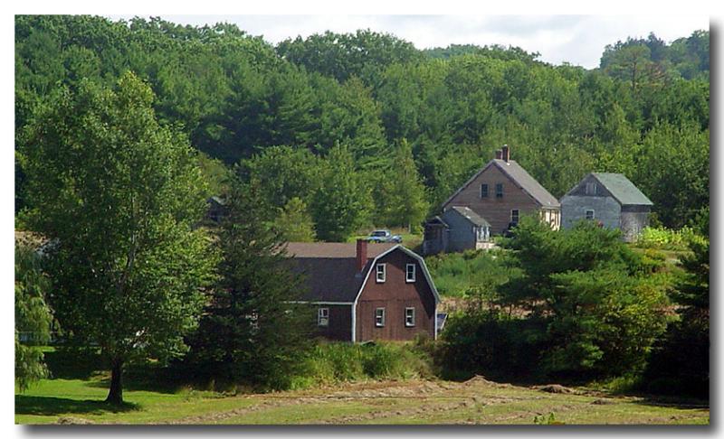 A Maine Scene