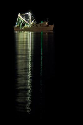 Neon Shrimper