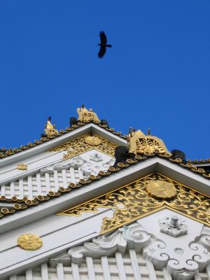 Crow above Ōsaka-jō
