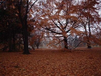 Very Autumn, Penn State University