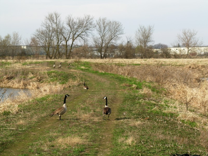 (D)small-DSCN2306.JPG