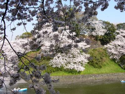 chidorigafuchi