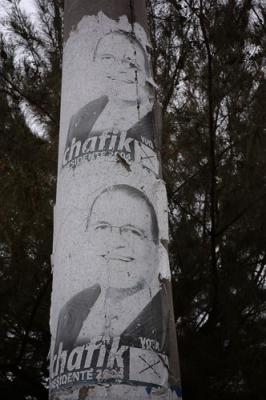 Politicians grow on trees