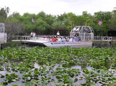 Everglades Airboat Ride