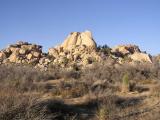 Joshua Tree National Park
