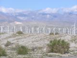 Palm Springs
