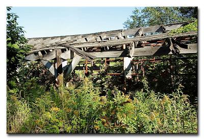CRW_0203L