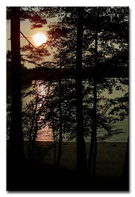 CRW_0521L Walden Pond #1