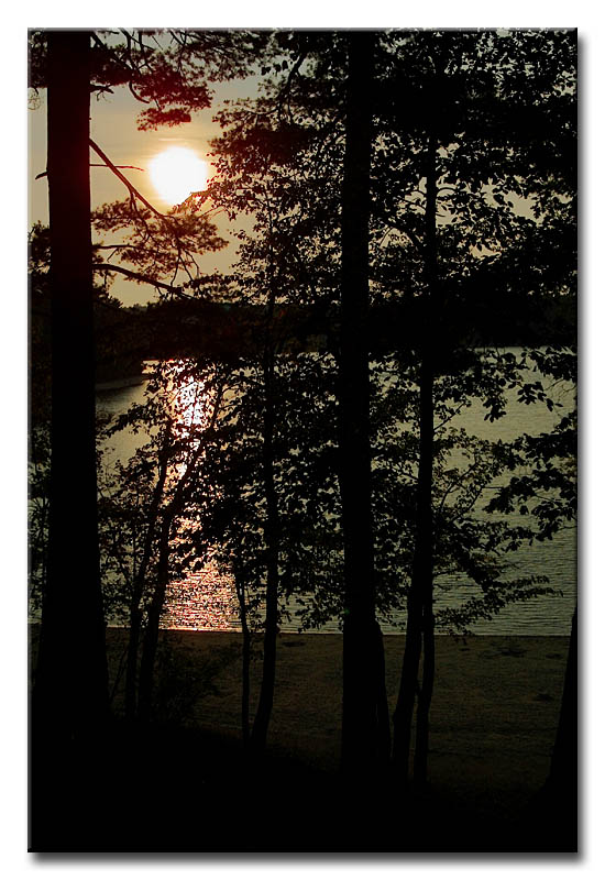 CRW_0521L Walden Pond #1