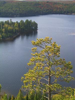 142-4251M.jpg
