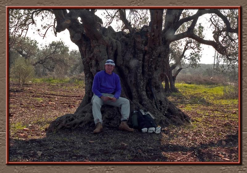 Hiking/resting