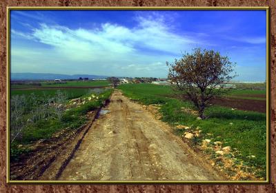 Beth-Lehem of Galilee