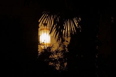 u16/adalberto_tiburzi/medium/39115850.IMG_5971.jpg