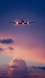 Landing at sunset aviation stock photo #SS9905p