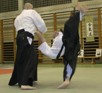 Aikido_Germanov04_43