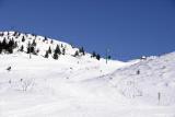 Velika planina_08