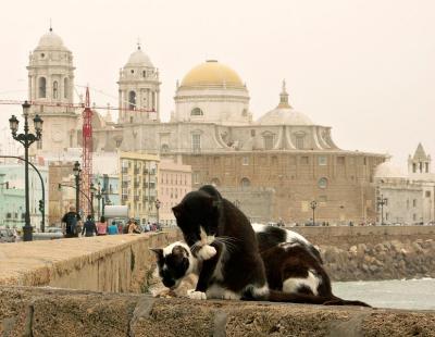 Cadiz