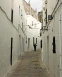 Vejer