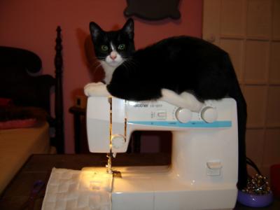 sewing lessons